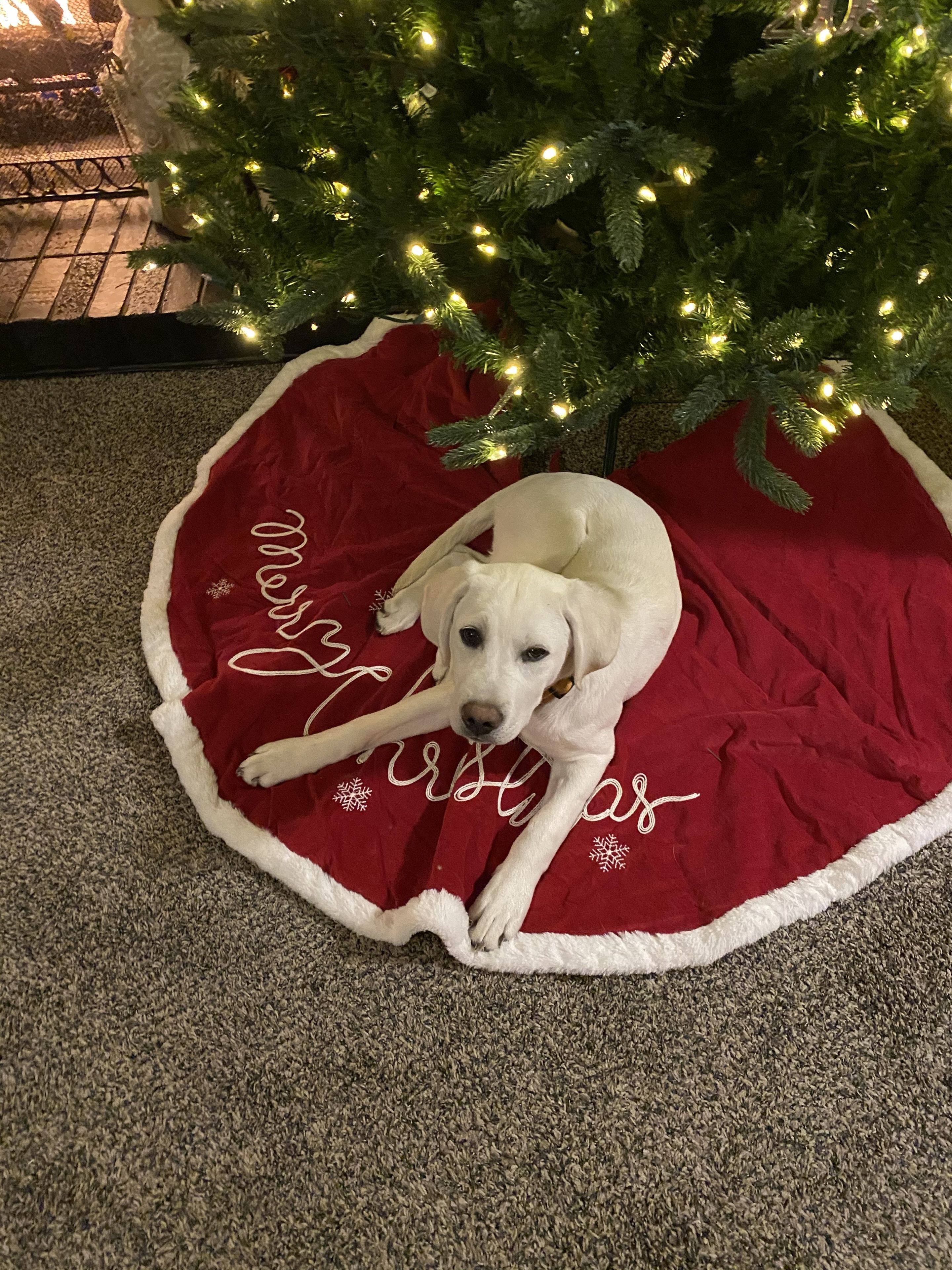 Thor under the Christmas tree — Big V Promo's inspiration